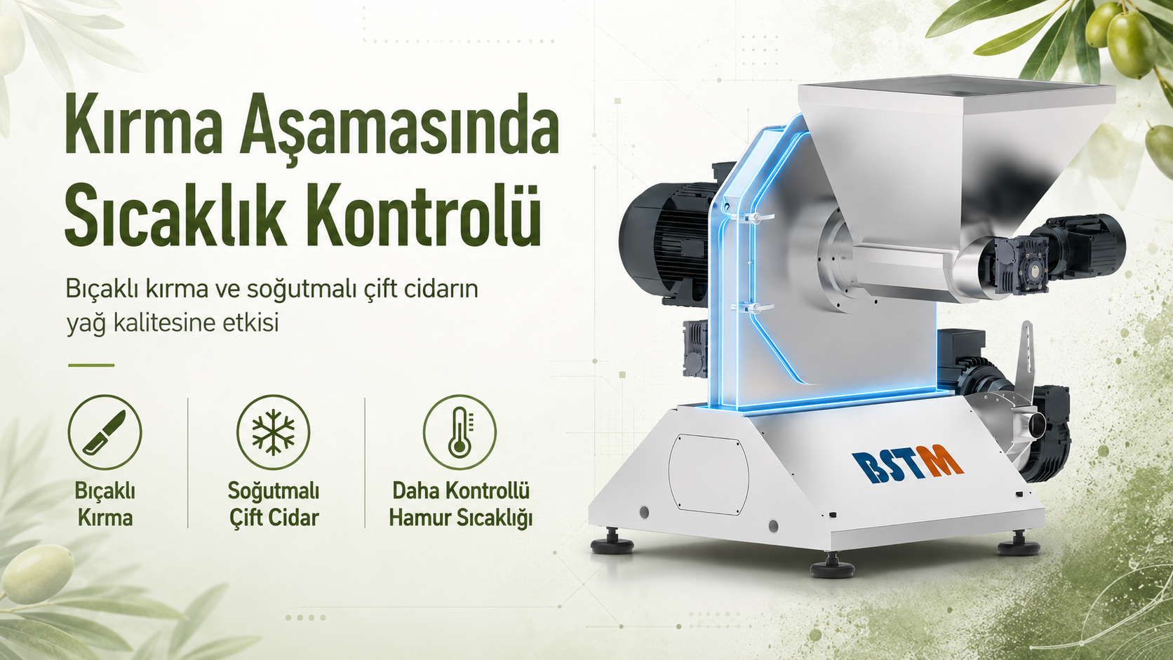 Zeytin Kırma Sıcaklığı Yağ Kalitesini Nasıl Etkiler?